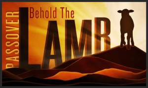 Passover Lamb
