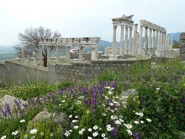 11-1303248575-exploring-ancient-pergamum-ephesus